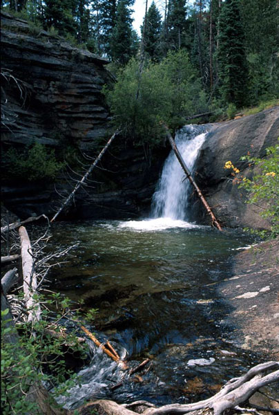 falls04.jpg (92869 bytes)