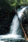 falls01.jpg (103883 bytes)