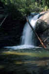 falls03.jpg (135753 bytes)